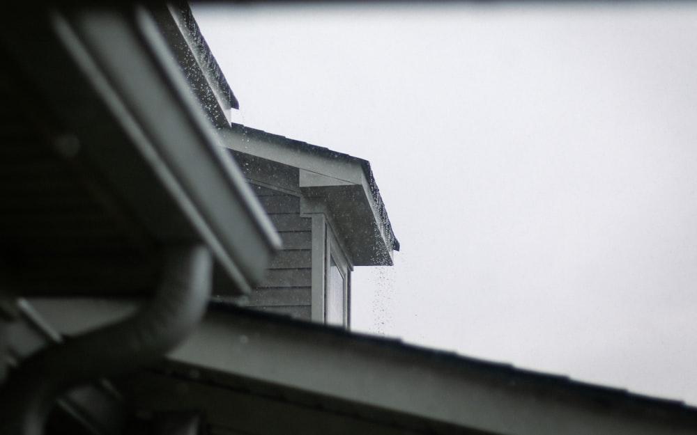 Gutter Cleaning
