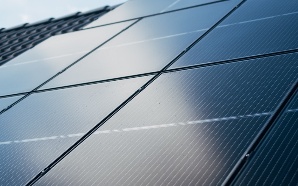 Solar Panel Cleaning